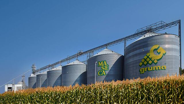 Gruma apoya a agricultores de BC.