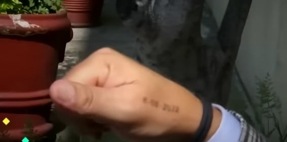Raúl Araiza se tatuó la fecha en que salió de rehabilitación