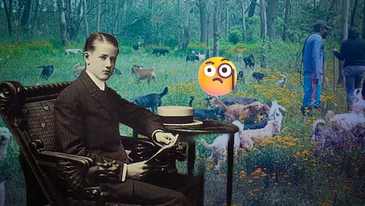 ¿Quién fue don Antonio Haghenbeck? Refugio Franciscano denuncia traición a su memoria