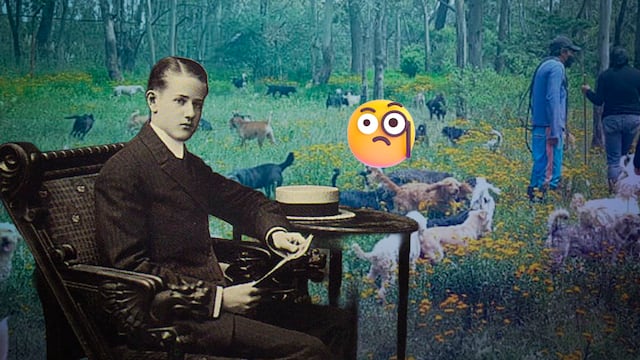 Don Antonio Hagenbeck