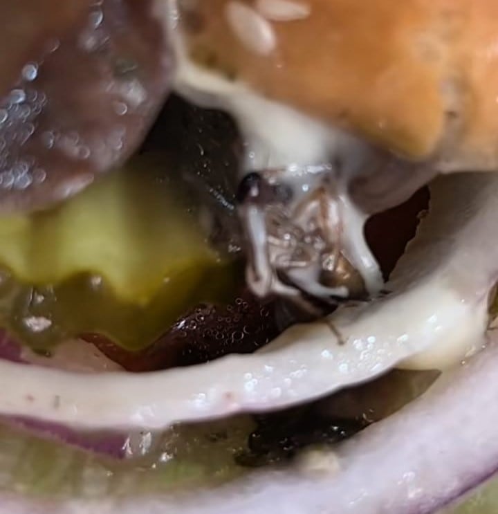 Cucaracha en hamburguesa de Carl´s Jr