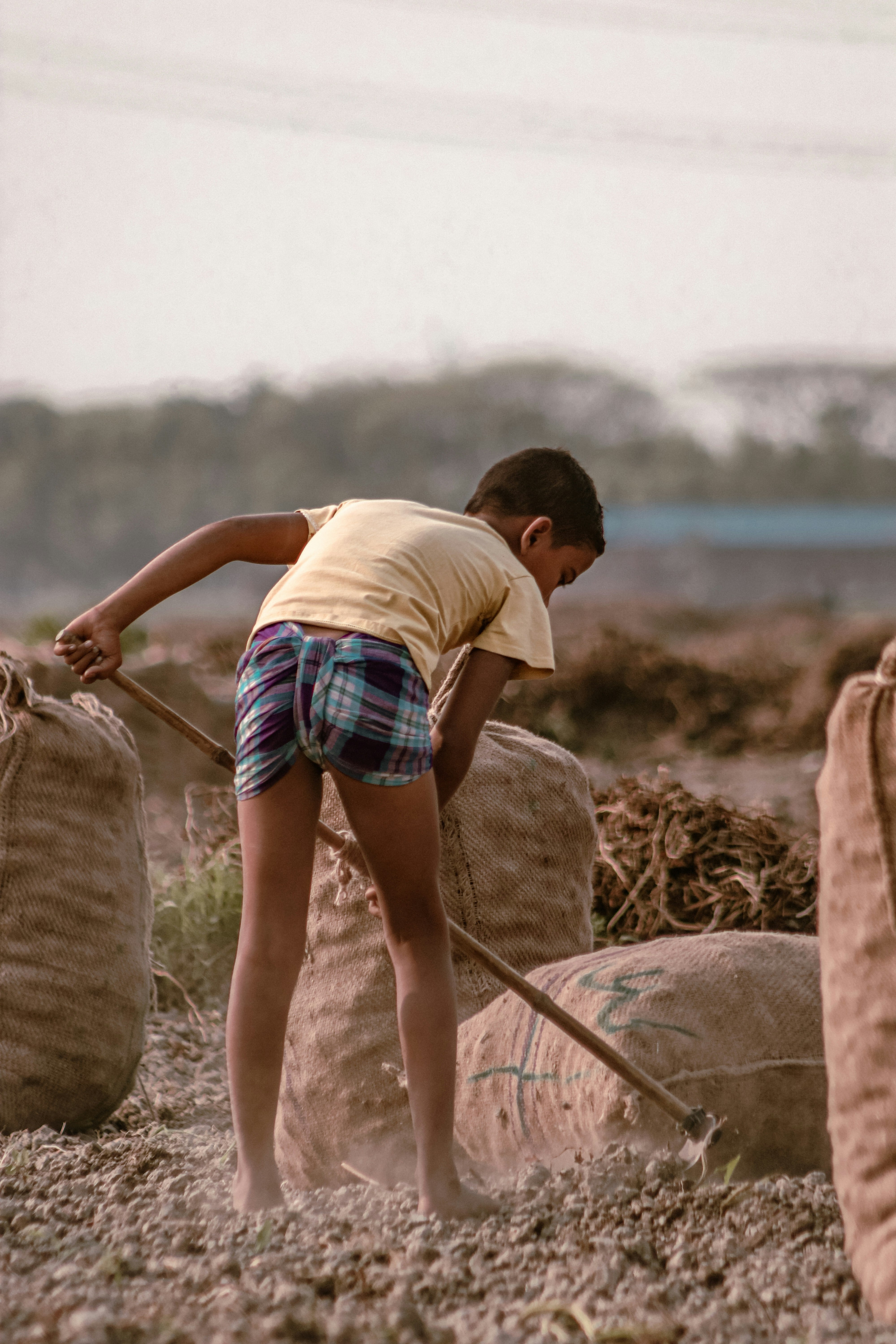 Este 16 de abril es el Día Internacional contra la Esclavitud Infantil