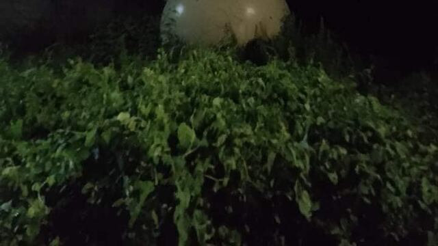 Orbe de Metal en Veracruz