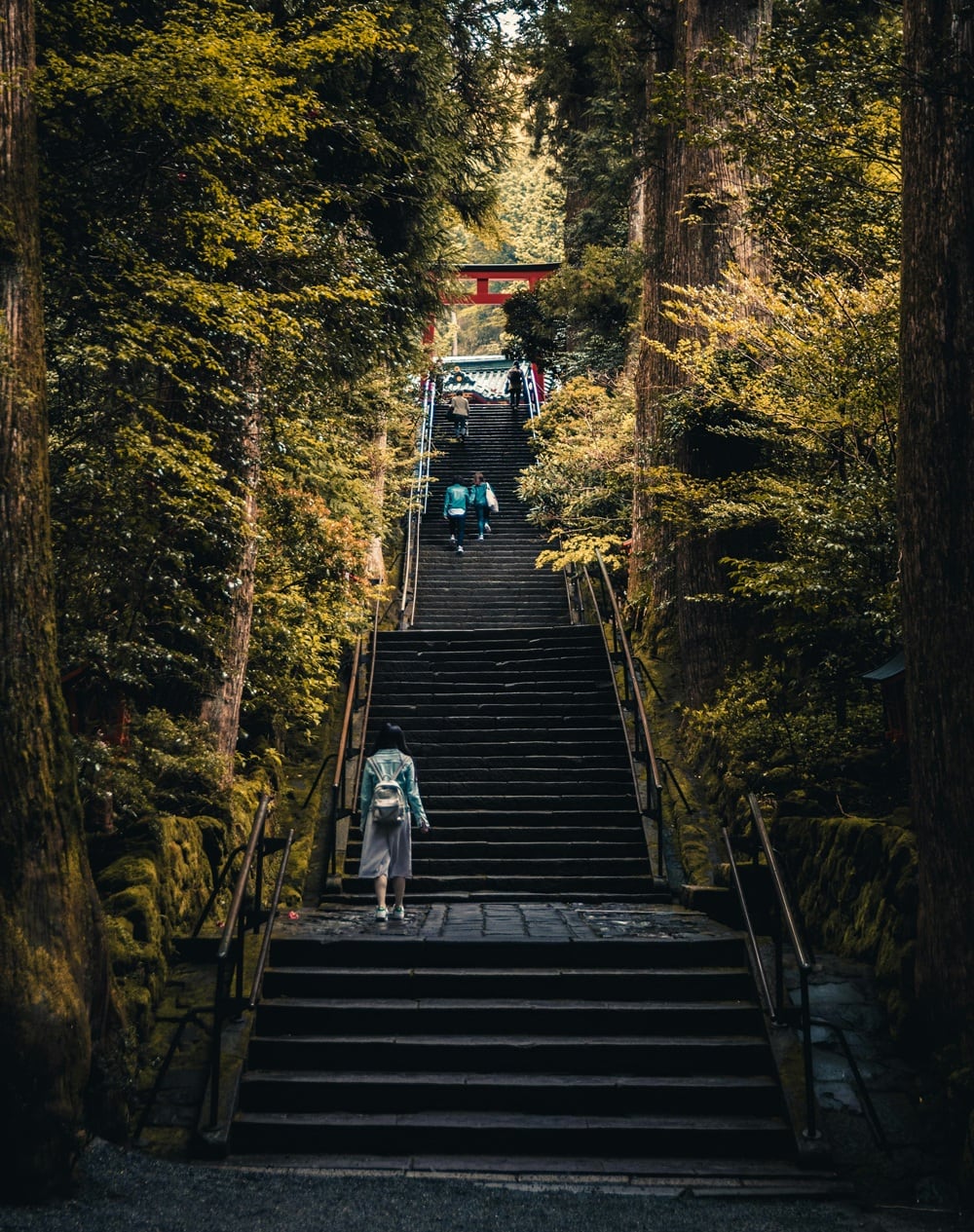 Japón