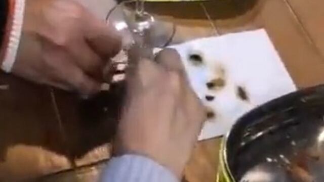 Insectos encontrados en un plato de estofado.