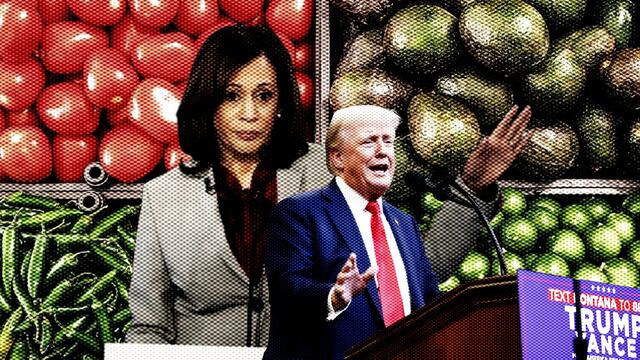 Candidatos de las elecciones presidenciales en Estados Unidos, Kamala Harris y Donald Trump