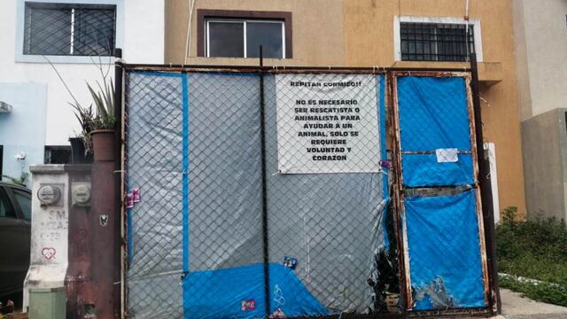 Supuesto refugio animal en Cancún