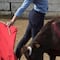 Toro lanza cornada directo al ano del torero (VIDEO)