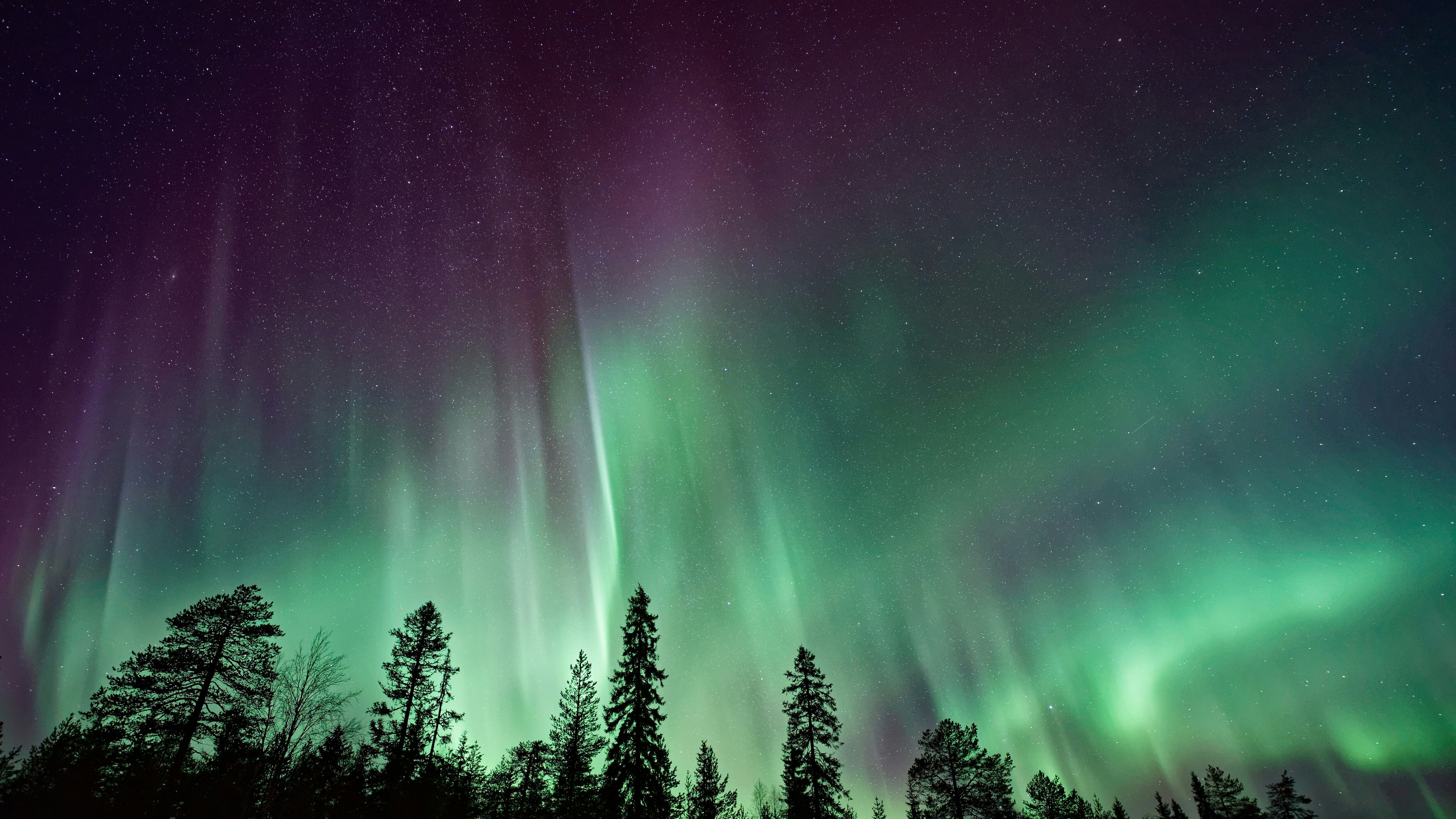 Auroras boreales hoy 12 de noviembre: mapa muestra dónde se verán en Estados Unidos, Canadá y México