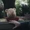 La película de Winnie Pooh es prohibida en China