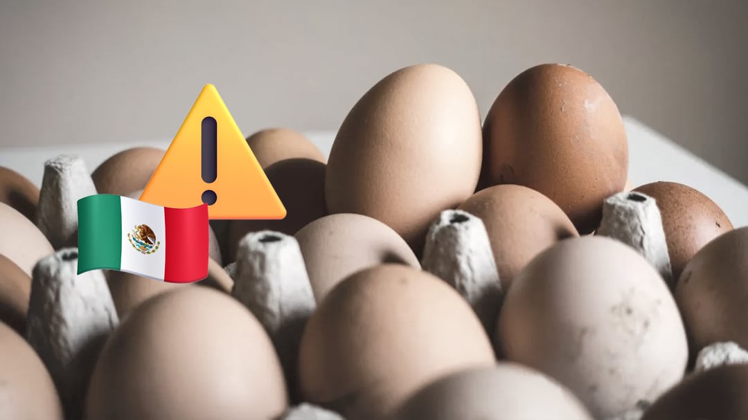 Brote de salmonella por huevos en Estados Unidos, ¿hay riesgo para México?