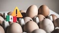 Brote de salmonella por huevos en Estados Unidos, ¿hay riesgo para México?