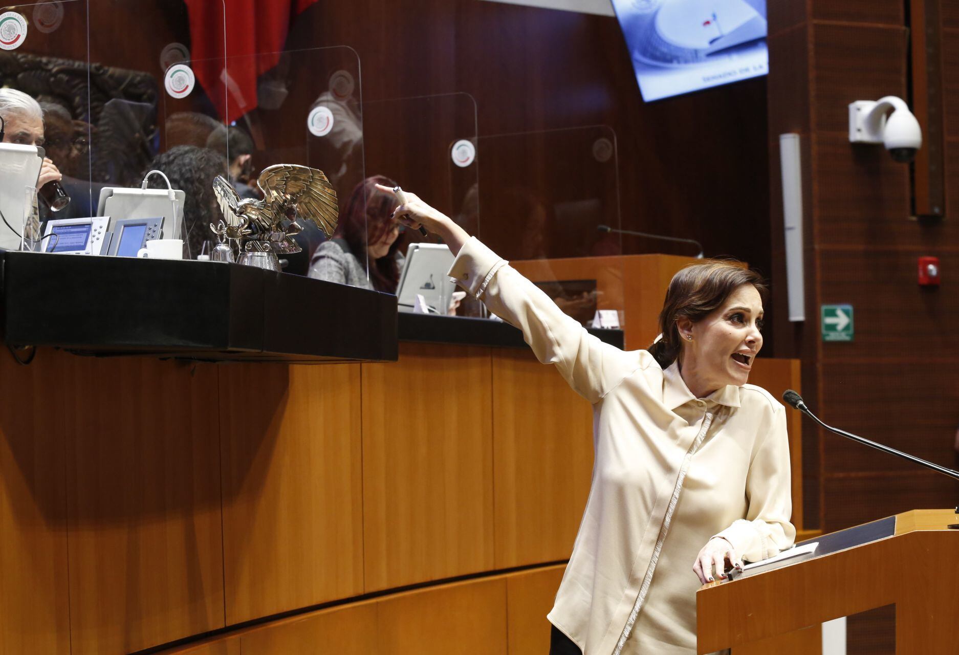 Lilly Téllez, senadora del PAN
