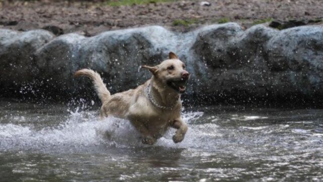 (Rodolfo Angulo/Cuartoscuro)