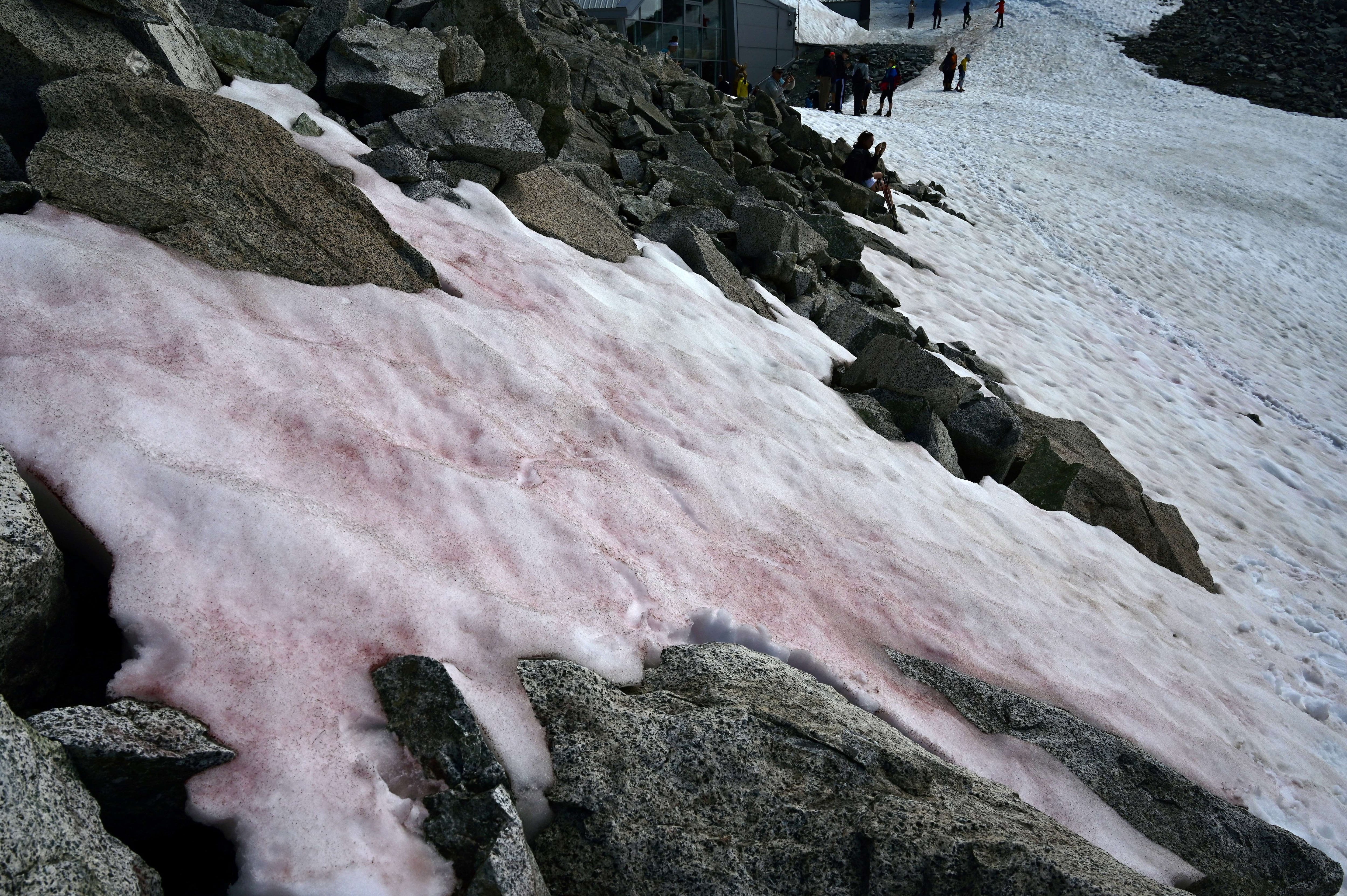 Glaciar Presena