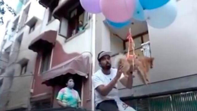 'Youtuber' vuela a su perro