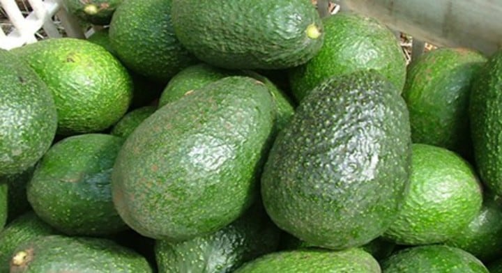 Aguacate