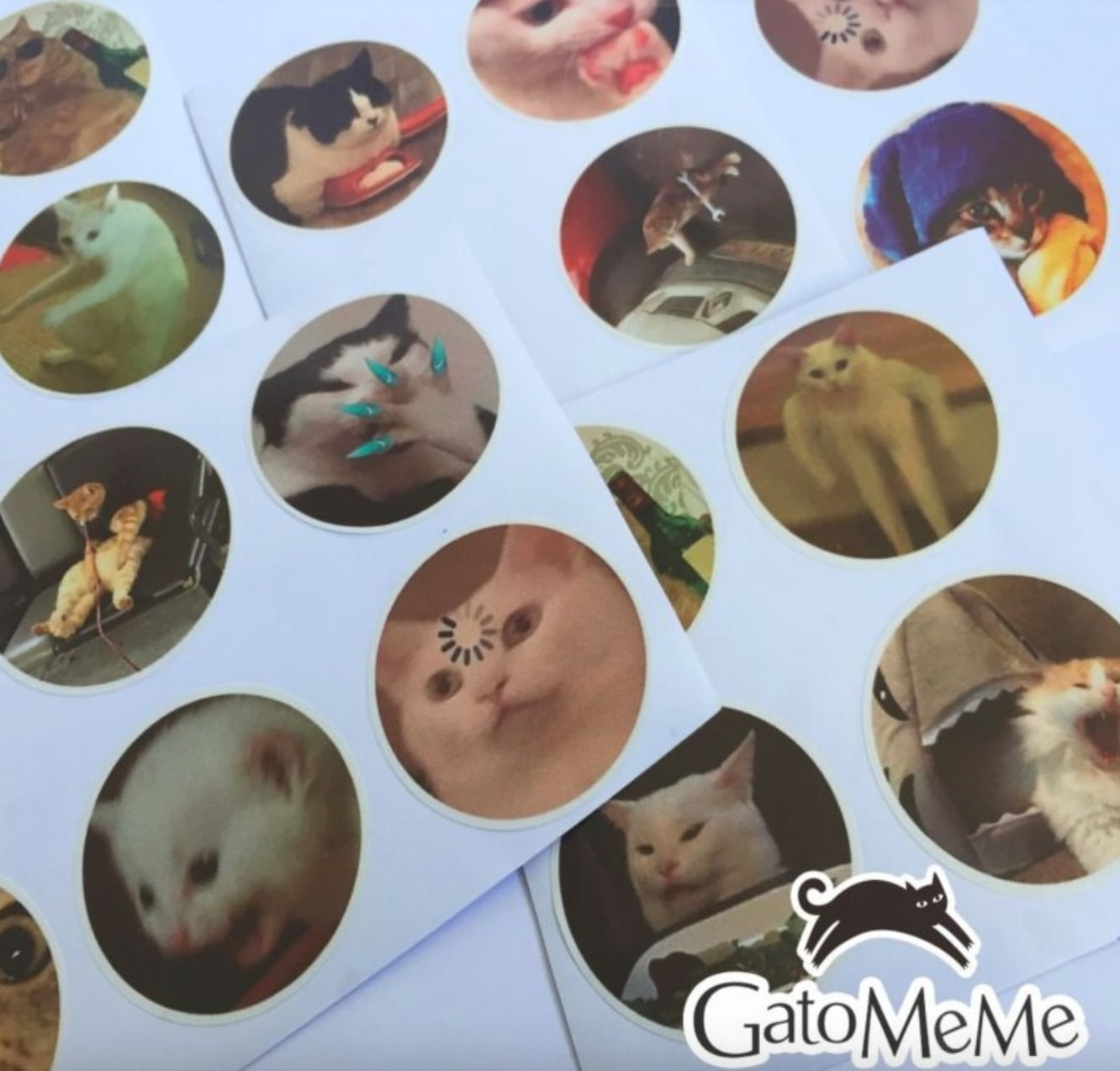 Memes de gatos