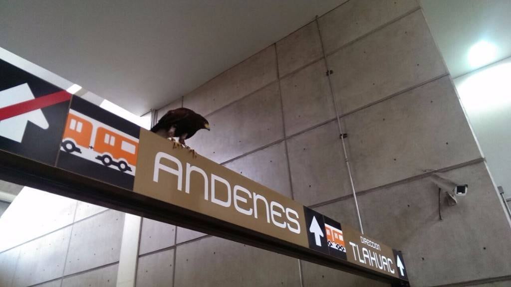 Línea 12 del Metro