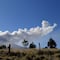 VIDEO: Volcán Popocatépetl registra explosión de madrugada que sacudió puertas y ventanas