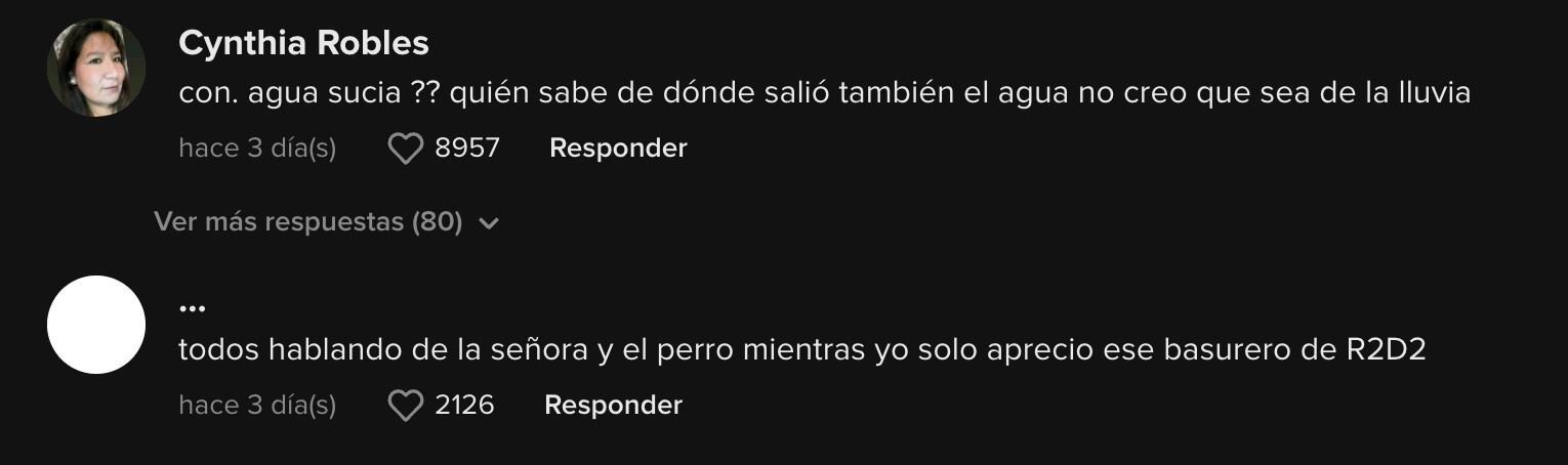 Comentarios al perrito bañado