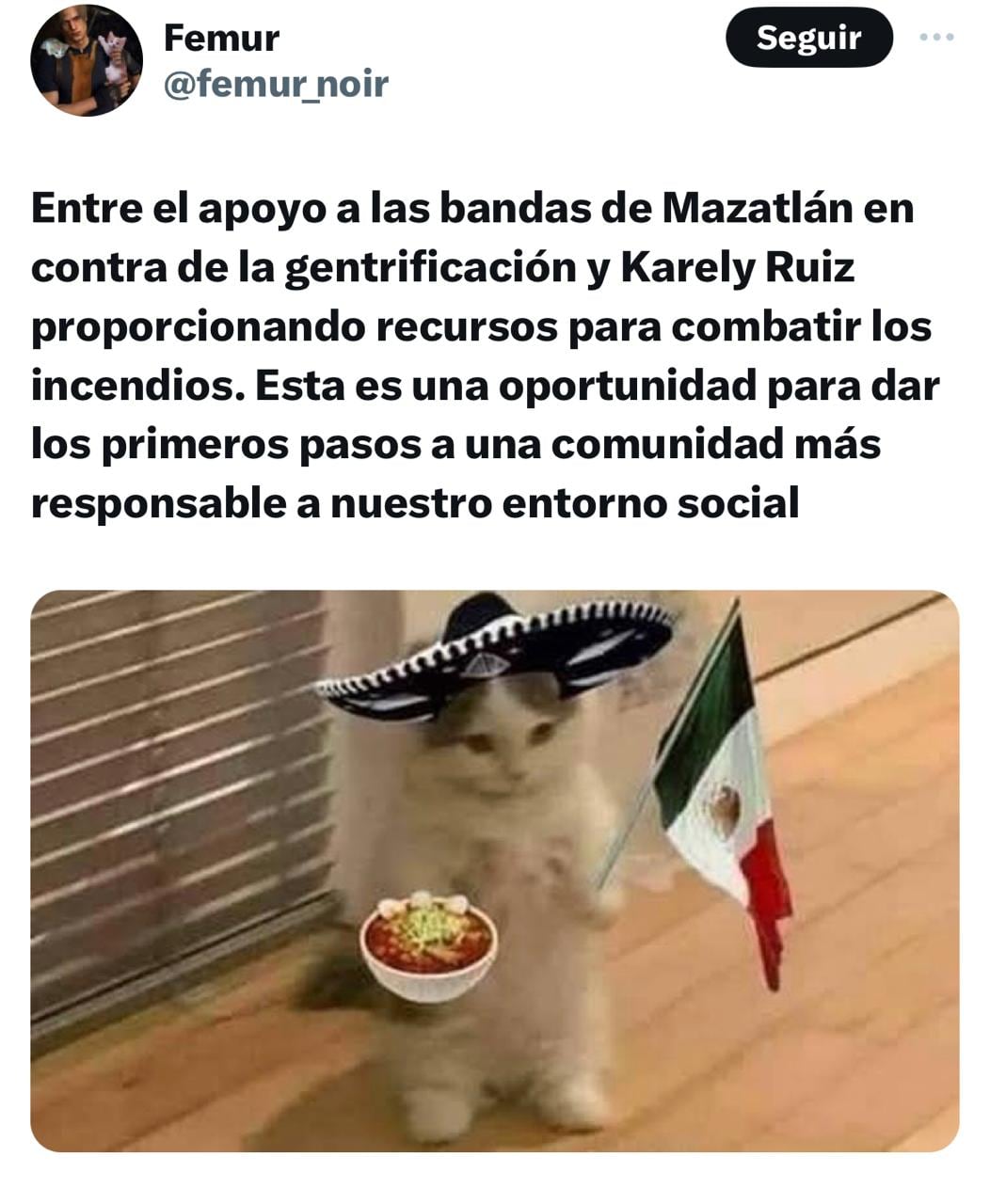 La “Santa Karely Ruiz” se vuelve tendencia con memes