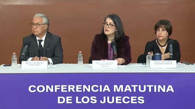 Jueza Edna Lorena Hernández asegura que los votantes de Morena no representan a todo el pueblo de México
