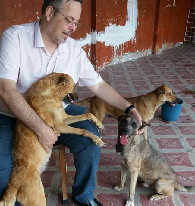 Invita a perros a misa para lograr su adopción.