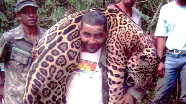 cazador jaguares