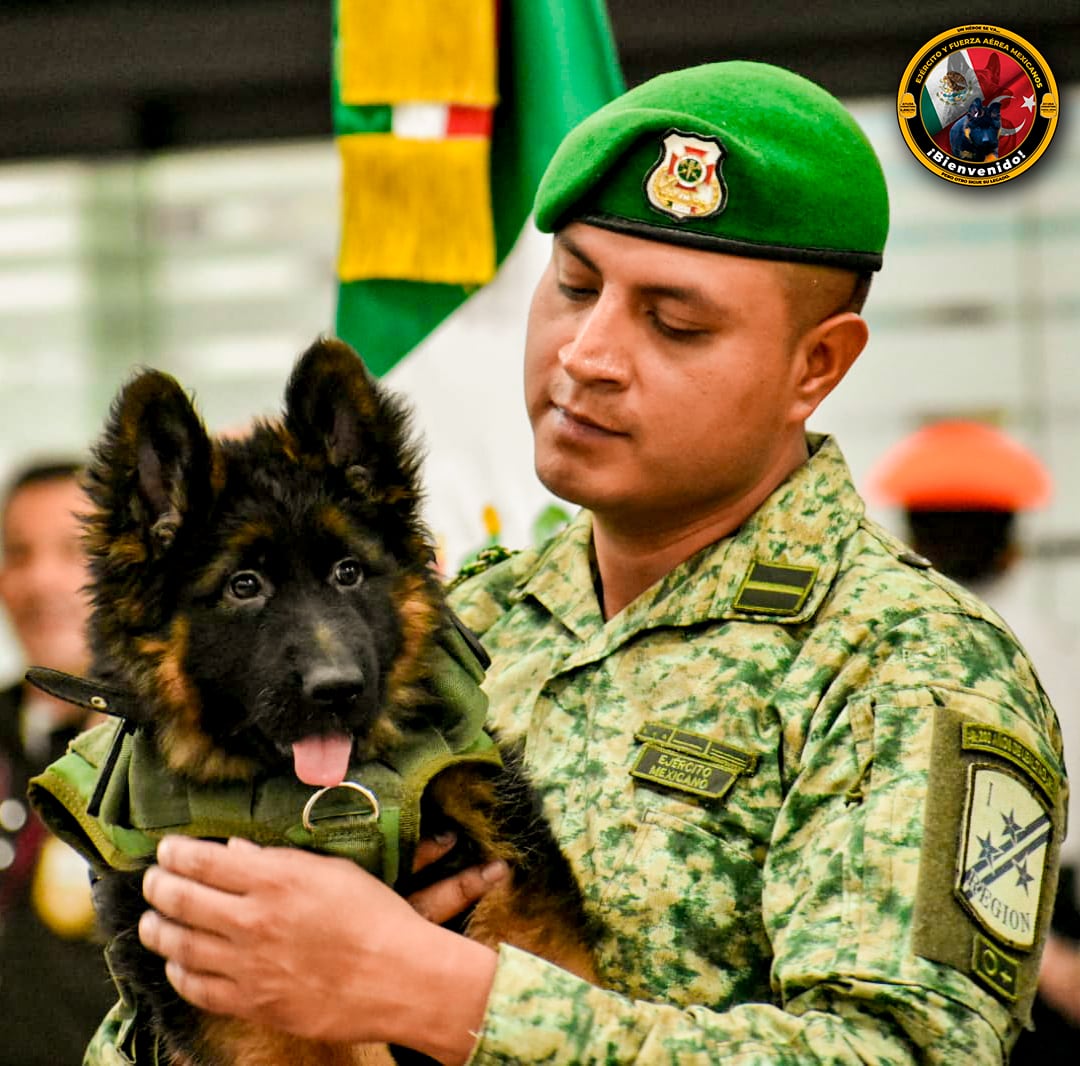 Sedena presenta a Arkadas, perrito rescatista
