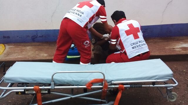 Hombre en situación de calle atacado por cocodrilo