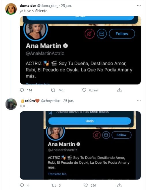 Usuarios silencian a Ana Martin en Twitter