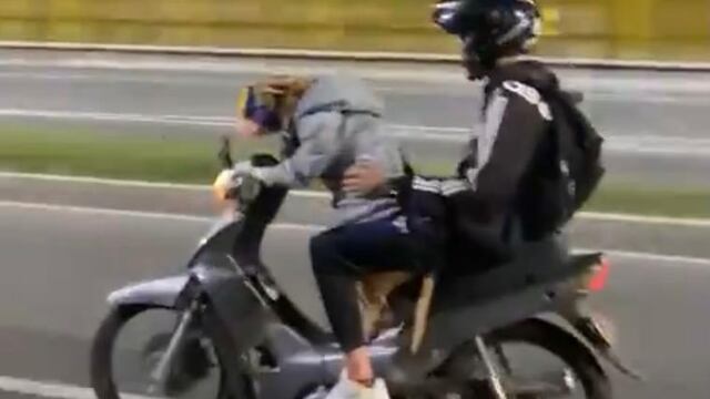 Perro manejando motocicleta