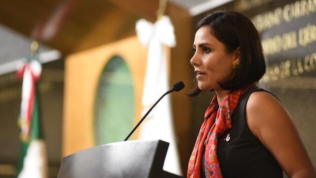 Diputada María del Carmen Guadalupe Torres