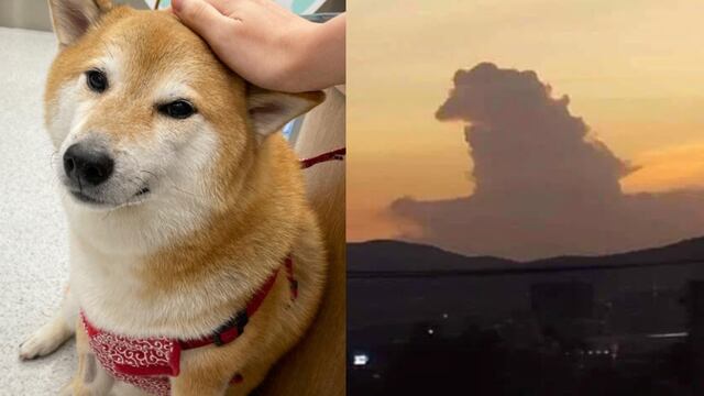 Cheem se manifiesta en las nubes