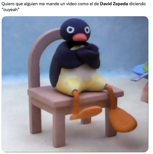 Memes de David Zepeda