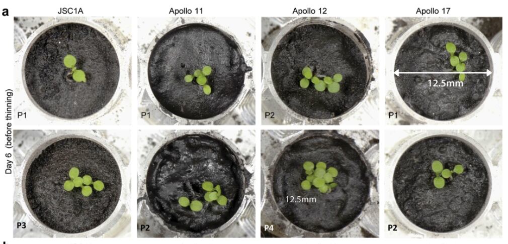 Pruebas de regolito lunar