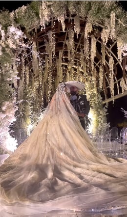 Boda de Vicente Fernández Jr. y Mariana González.