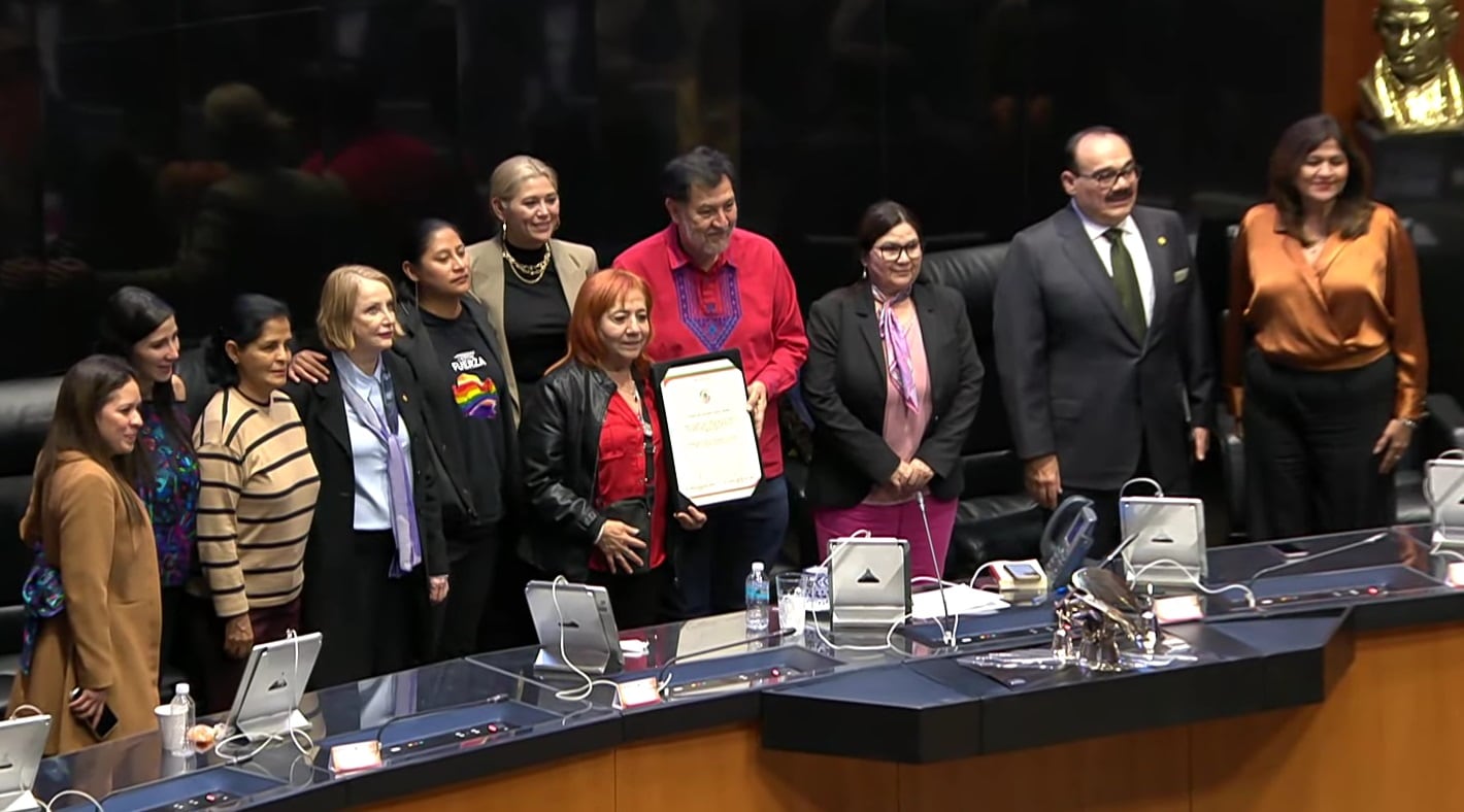 Cámara de Senadores renovó tras una larga votación a Rosario Piedra para un segundo periodo al frente de la CNDH