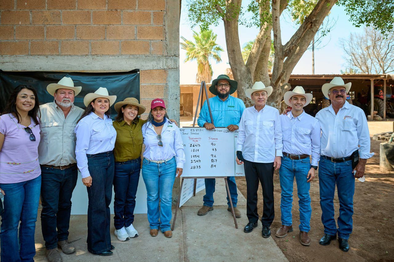 Reconversión de cultivos en Sonora avanza con más de 32 mil hectáreas