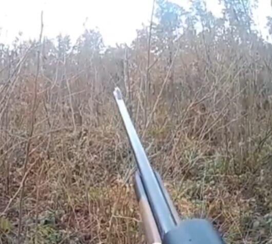 Ciervo ataca a un cazador; casi le saca el ojo