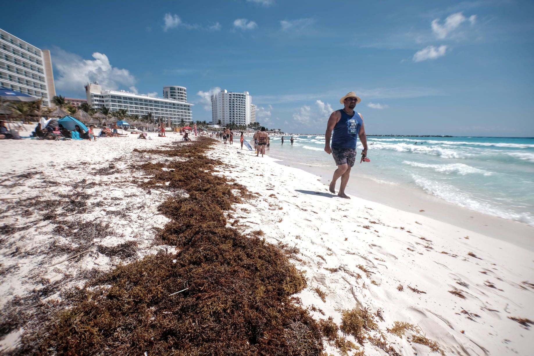 Sargazo en Quintana Roo