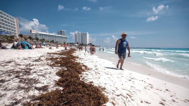 Sargazo en Quintana Roo