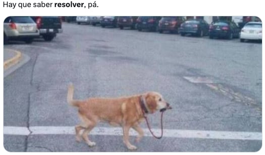 ¿Qué significan los memes de resolver?
