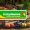Bodega Aurrerá tianguis de frutas y verduras hoy al 17 de octubre 2024: Las mejores ofertas