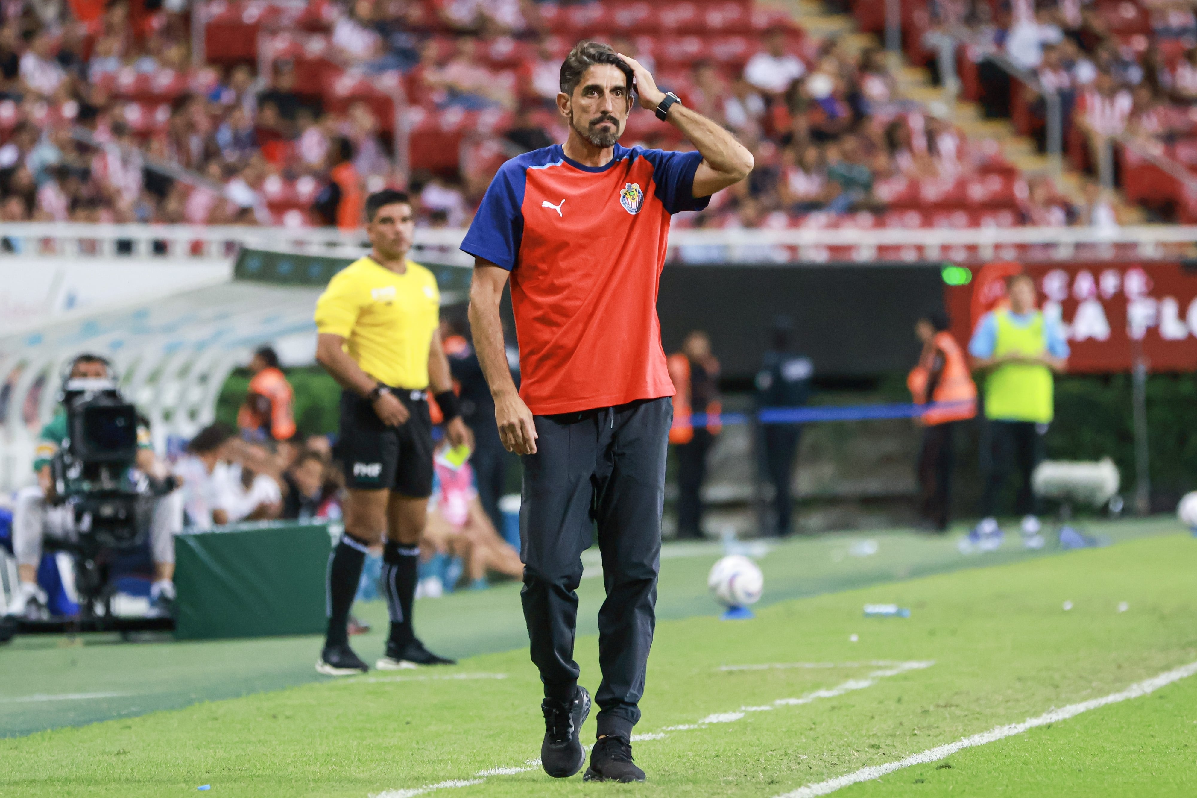 Veljko Paunovic.