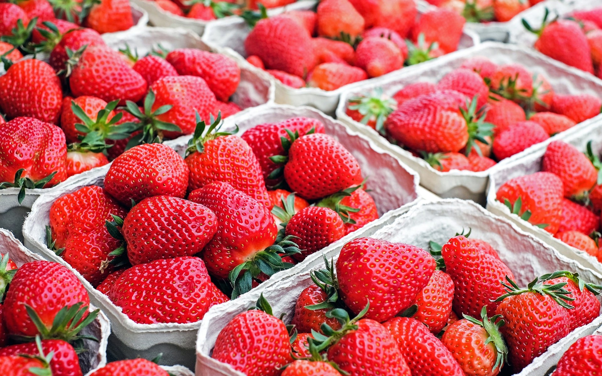 frutos rojos