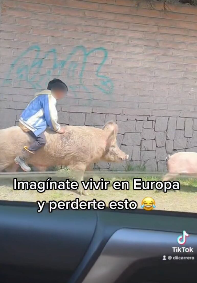 Niño montando un cochino