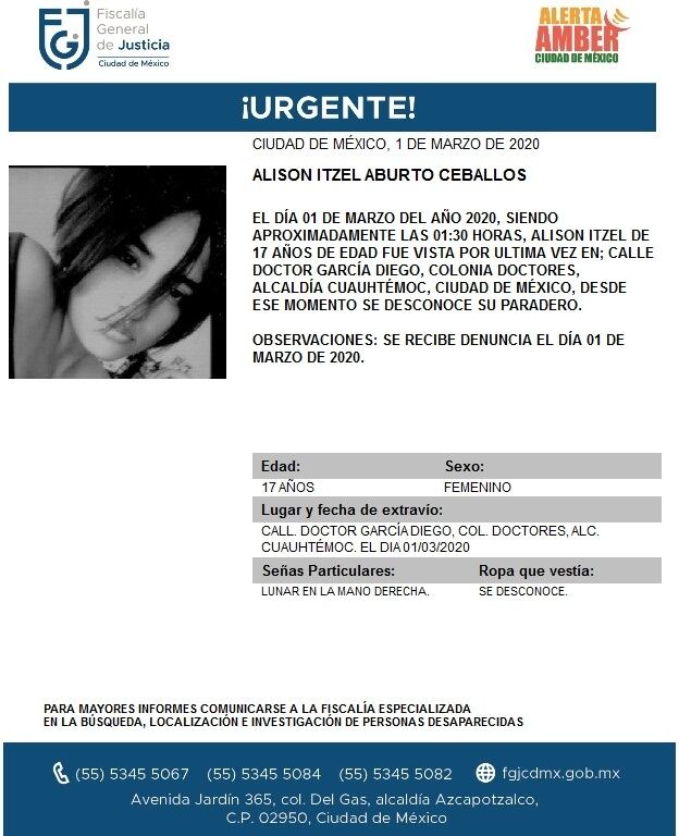 Alison Itzel Aburto Ceballos