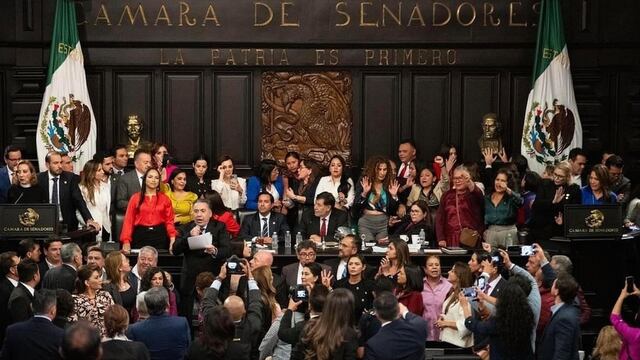 Sesión en el Senado. Foto: Vanessa Félix